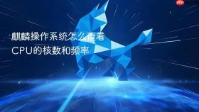 麒麟操作系统怎么查看CPU的核数和频率