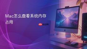 mac怎么查看系统内存占用