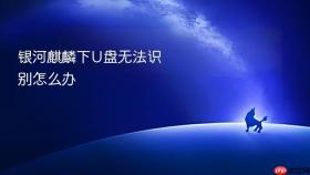 银河麒麟下u盘无法识别怎么办