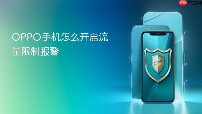 oppo手机怎么开启流量限制报警