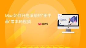 mac如何开启系统的“画中画”看本地视频