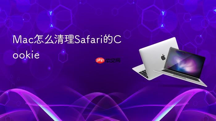 mac怎么清理safari的cookie
