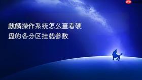 麒麟操作系统怎么查看硬盘的各分区挂载参数