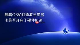 麒麟OS如何查看当前显卡是否开启了硬件加速