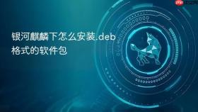 银河麒麟下怎么安装.deb格式的软件包
