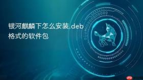 银河麒麟下怎么安装.deb格式的软件包