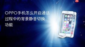 oppo手机怎么开启通话过程中的背景静音切换功能