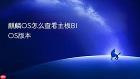 麒麟os怎么查看主板bios版本