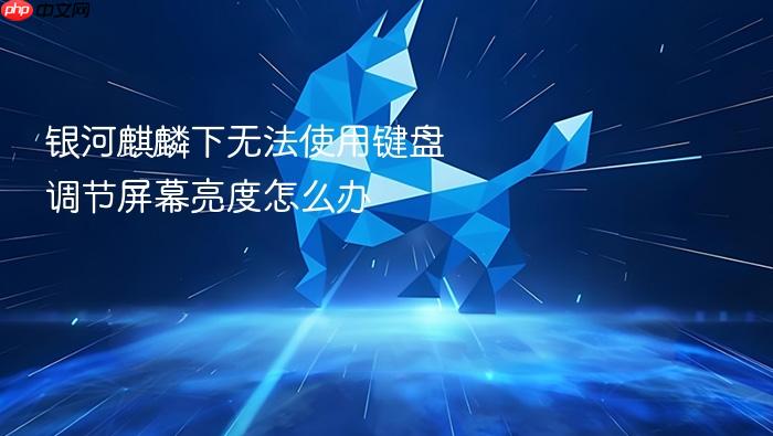 银河麒麟下无法使用键盘调节屏幕亮度怎么办