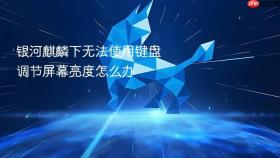 银河麒麟下无法使用键盘调节屏幕亮度怎么办