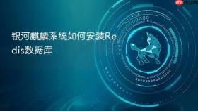 银河麒麟系统如何安装Redis数据库