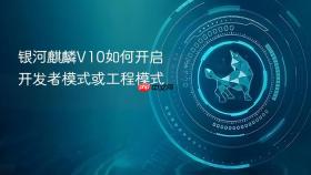 银河麒麟v10如何开启开发者模式或工程模式