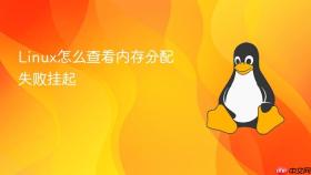 linux怎么查看内存分配失败挂起
