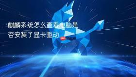 麒麟系统怎么查看电脑是否安装了显卡驱动