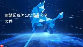 麒麟系统怎么批量重命名文件