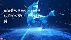 麒麟操作系统怎么查看系统的各种硬件中断统计数据