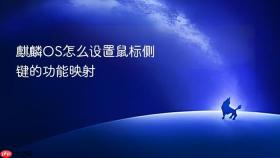 麒麟os怎么设置鼠标侧键的功能映射