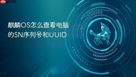 麒麟OS怎么查看电脑的SN序列号和UUID