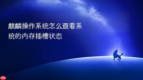 麒麟操作系统怎么查看系统的内存插槽状态