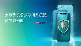小米手机怎么取消系统更新下载提醒