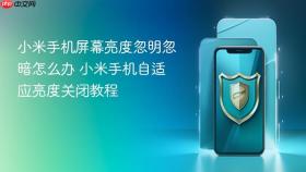 小米手机屏幕亮度忽明忽暗怎么办 小米手机自适应亮度关闭教程