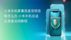 小米手机屏幕亮度忽明忽暗怎么办 小米手机自适应亮度关闭教程