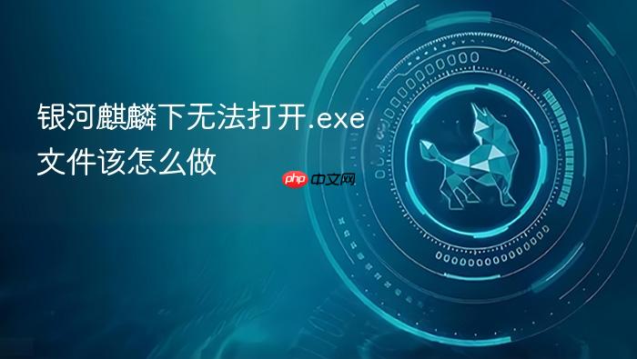 银河麒麟下无法打开.exe文件该怎么做
