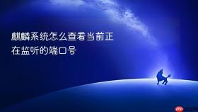 麒麟系统怎么查看当前正在监听的端口号