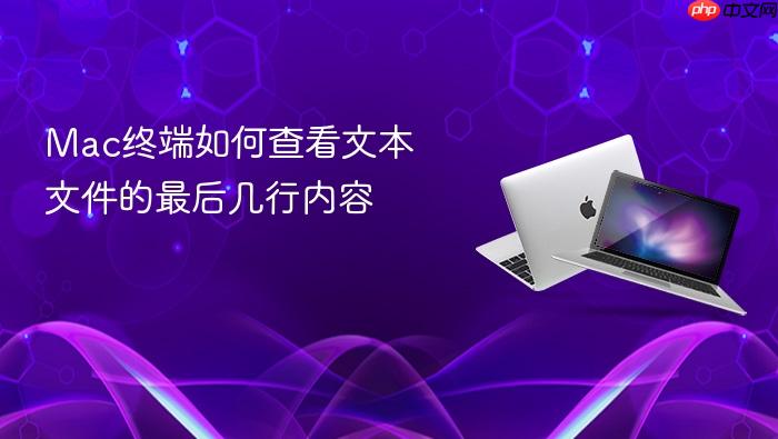 mac终端如何查看文本文件的最后几行内容
