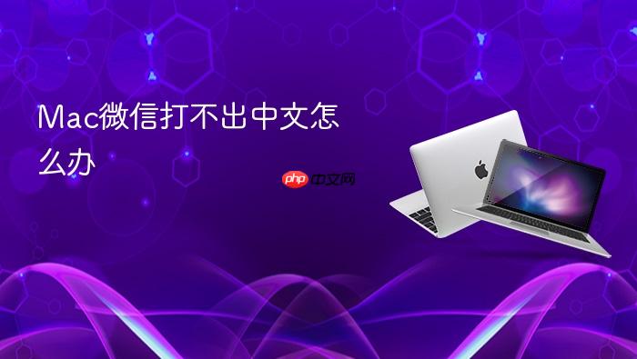 mac微信打不出中文怎么办