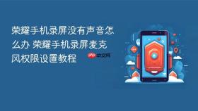 荣耀手机录屏没有声音怎么办 荣耀手机录屏麦克风权限设置教程