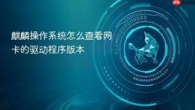 麒麟操作系统怎么查看网卡的驱动程序版本