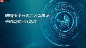 麒麟操作系统怎么查看网卡的驱动程序版本