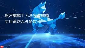 银河麒麟下无法安装麒麟应用商店以外的软件