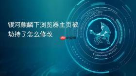 银河麒麟下浏览器主页被劫持了怎么修改