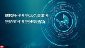 麒麟操作系统怎么查看系统的文件系统挂载选项