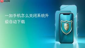 一加手机怎么关闭系统升级自动下载