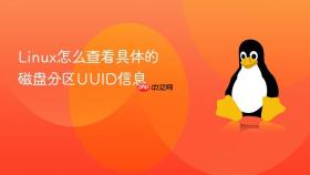 Linux怎么查看具体的磁盘分区UUID信息