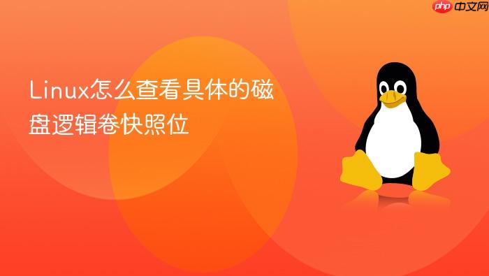 linux怎么查看具体的磁盘逻辑卷快照位