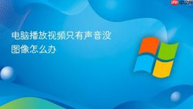 电脑播放视频只有声音没图像怎么办
