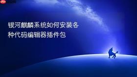 银河麒麟系统如何安装各种代码编辑器插件包