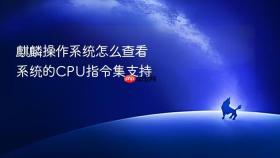 麒麟操作系统怎么查看系统的cpu指令集支持