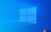 Windows 10 播放视频没有画面只有声音怎么办