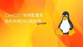 centos 7如何配置具体的本地dns服务器