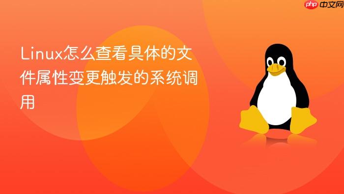 linux怎么查看具体的文件属性变更触发的系统调用