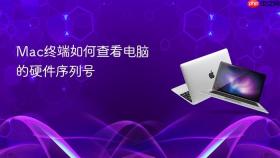 mac终端如何查看电脑的硬件序列号