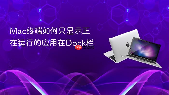 mac终端如何只显示正在运行的应用在dock栏