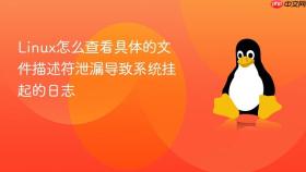 linux怎么查看具体的文件描述符泄漏导致系统挂起的日志