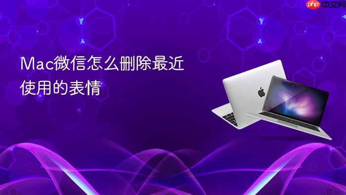 mac微信怎么删除最近使用的表情