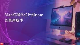 mac终端怎么升级npm到最新版本